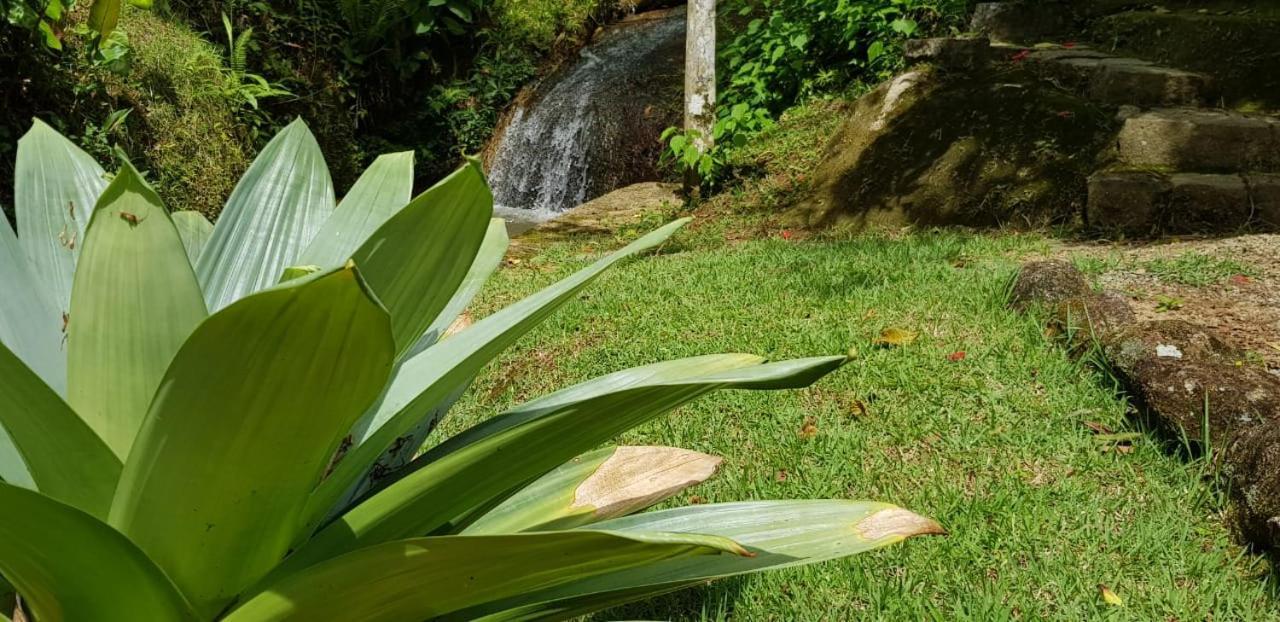 Pousada Vertente Das Aguas Lumiar Bagian luar foto